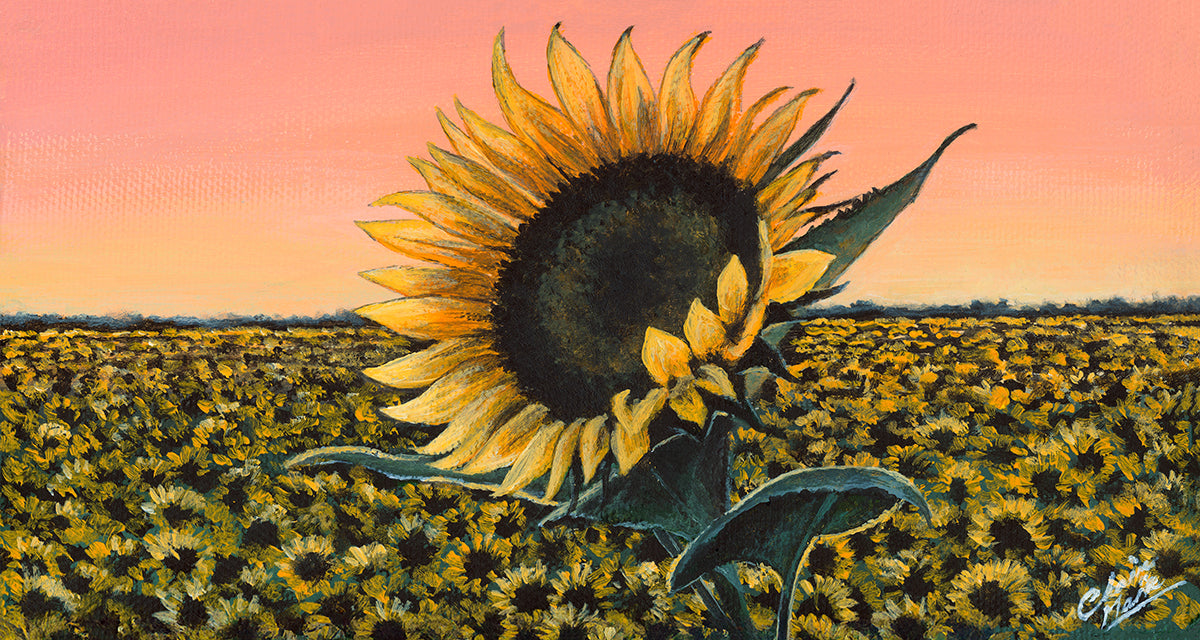“Aurora” - limited edition fine art print
