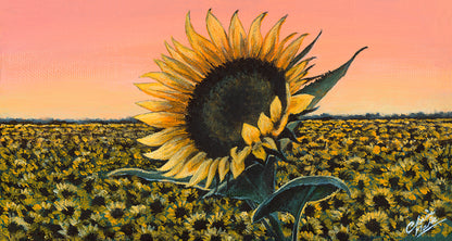 “Aurora” - limited edition fine art print