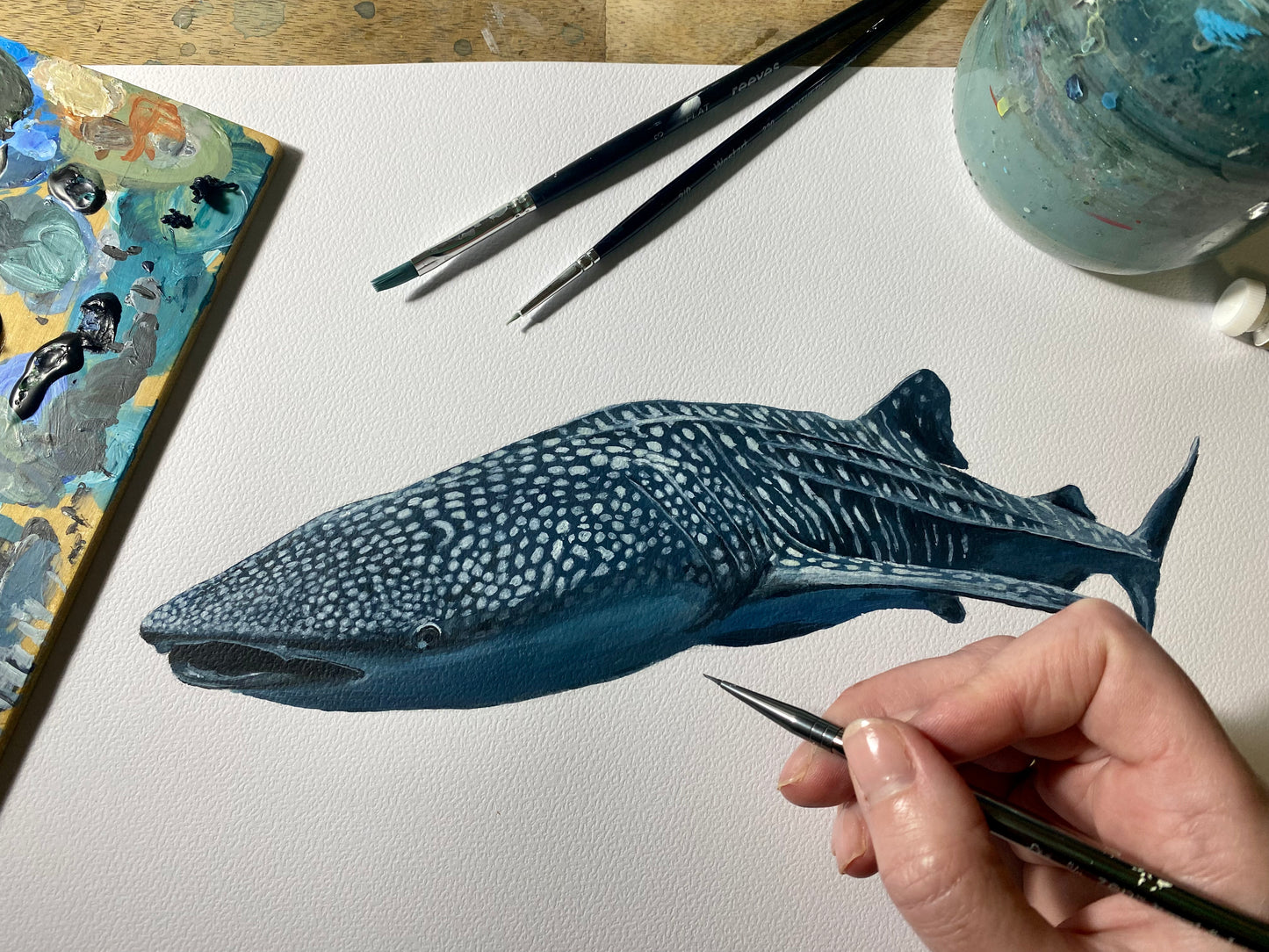 "Willow the Whale Shark" - Framed original acrylic painting on A3 paper