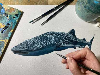 "Willow the Whale Shark" - Framed original acrylic painting on A3 paper
