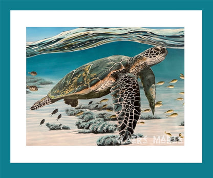 "Chunk the Sea Turtle" - limited edition A3 fine art print
