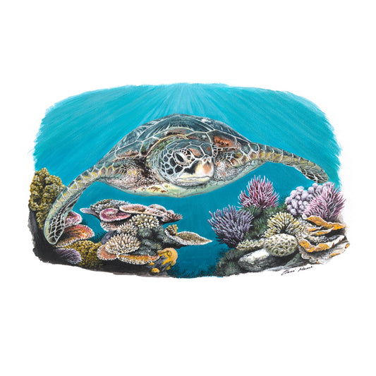 "Green turtle coral dreams" - original acrylic painting on A3 paper