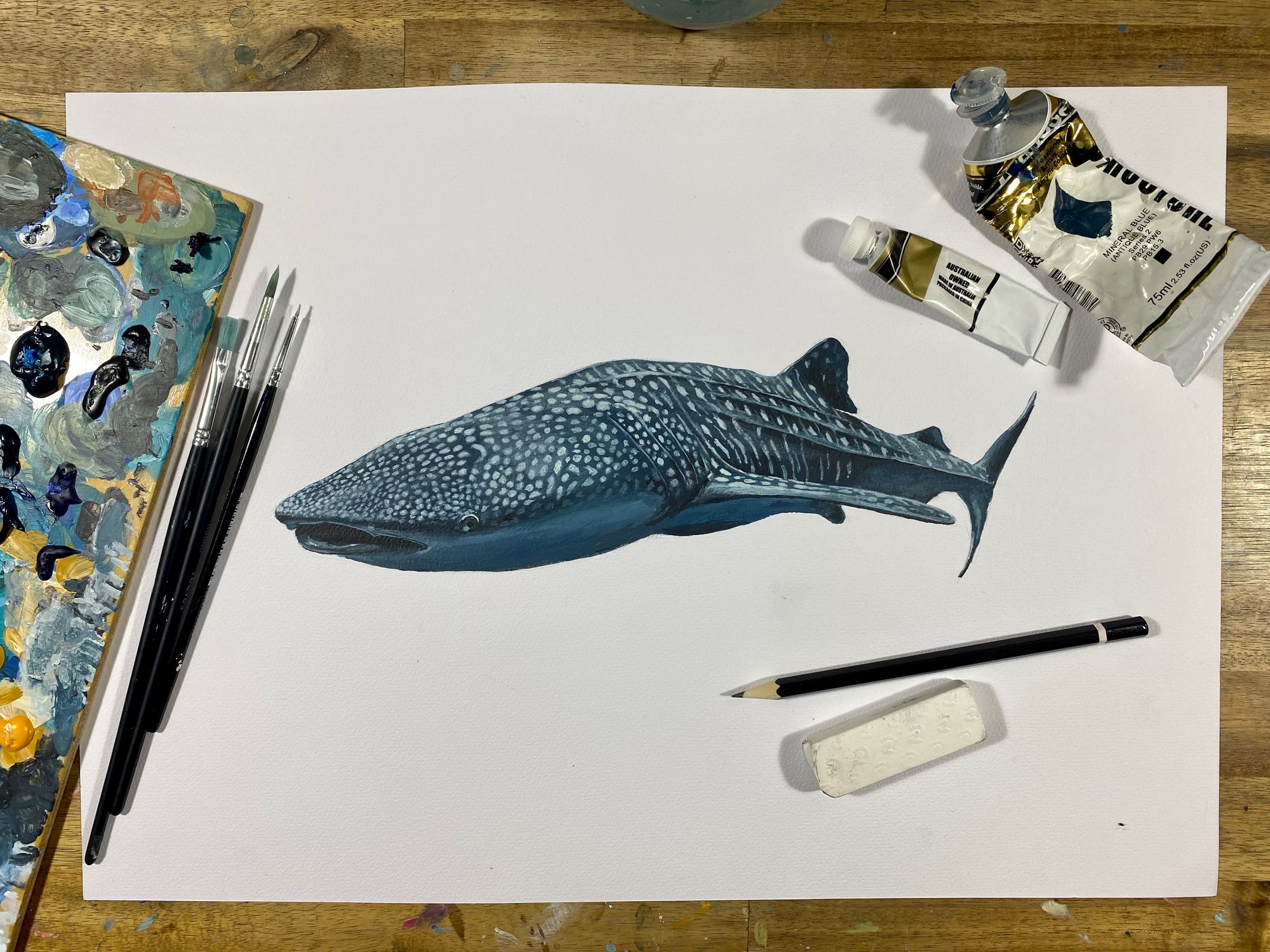 Whale Shark Ningaloo Reef Canvas Artwork by Jordan Robins | iCanvas